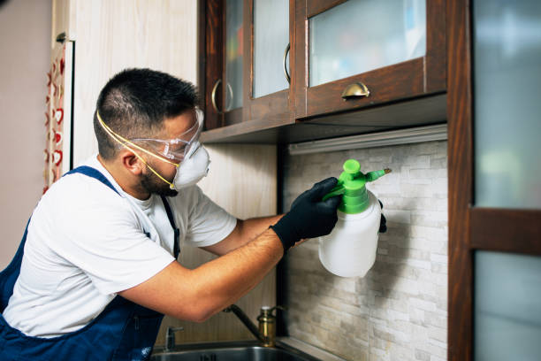 Pest Prevention Services in Portsmouth, VA