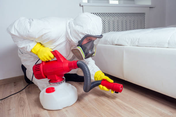 Best Ant Control Services  in Portsmouth, VA