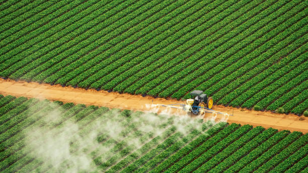 Best Mosquito Control Services  in Portsmouth, VA