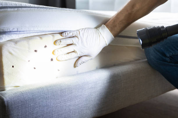 Best Pest Inspection Near Me  in Portsmouth, VA