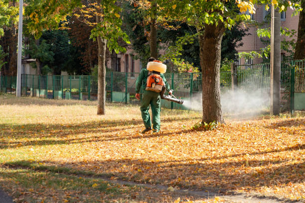Best Rodent Control Near Me  in Portsmouth, VA